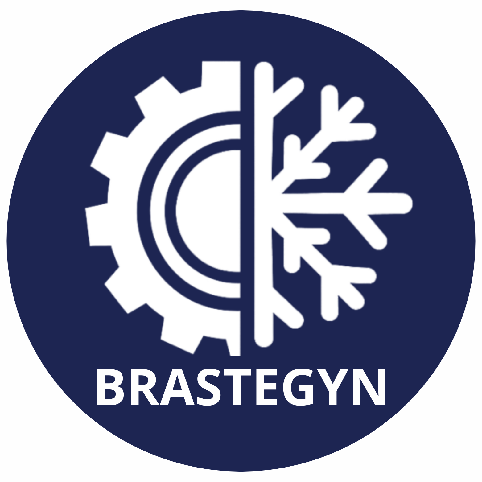 Brastegyn climatização